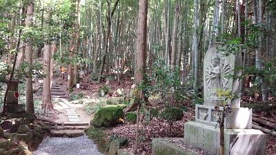 いただきましてありがとう