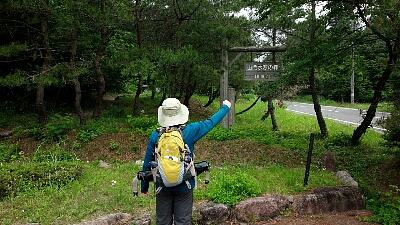 山門水源の森(5月の記録その2)