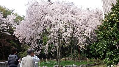 私は何歳？お好きにどうぞ(笑)