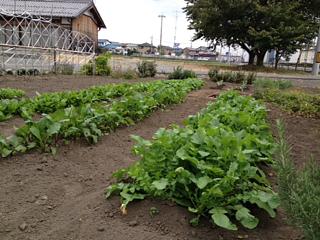 明日はイベントで～す♪