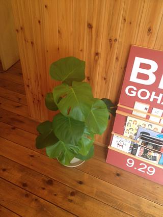 つまようじあります