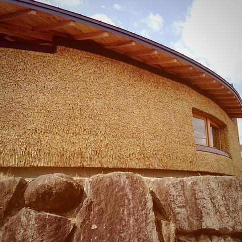 Cafeネンリンさんに行けました！！！