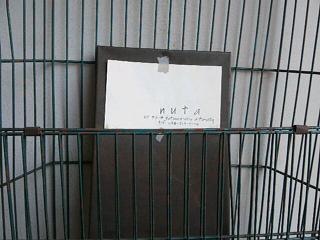 ほんの少しだけ岐阜