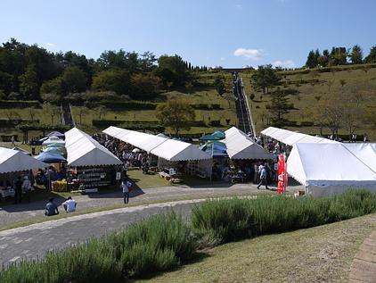 詳しいmasuの休日